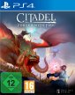 Citadel Forged with Fire (PlayStation 4)